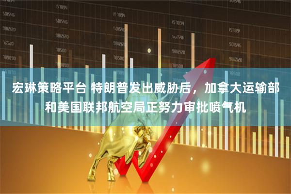 宏琳策略平台 特朗普发出威胁后，加拿大运输部和美国联邦航空局正努力审批喷气机